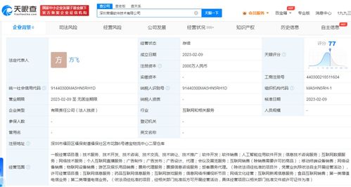 榮耀手機成立軟件公司，進軍互聯網游戲與信息服務